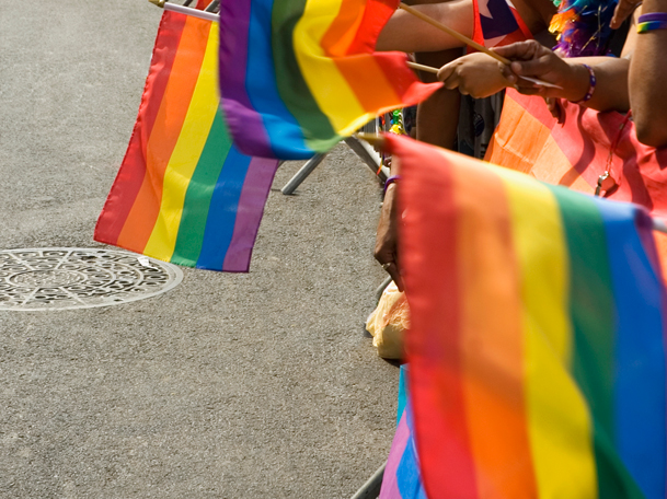 a crowd of people holding rainbow flags